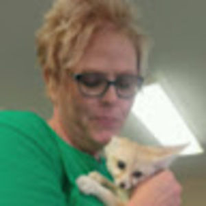 Meet your Posher, Hillery